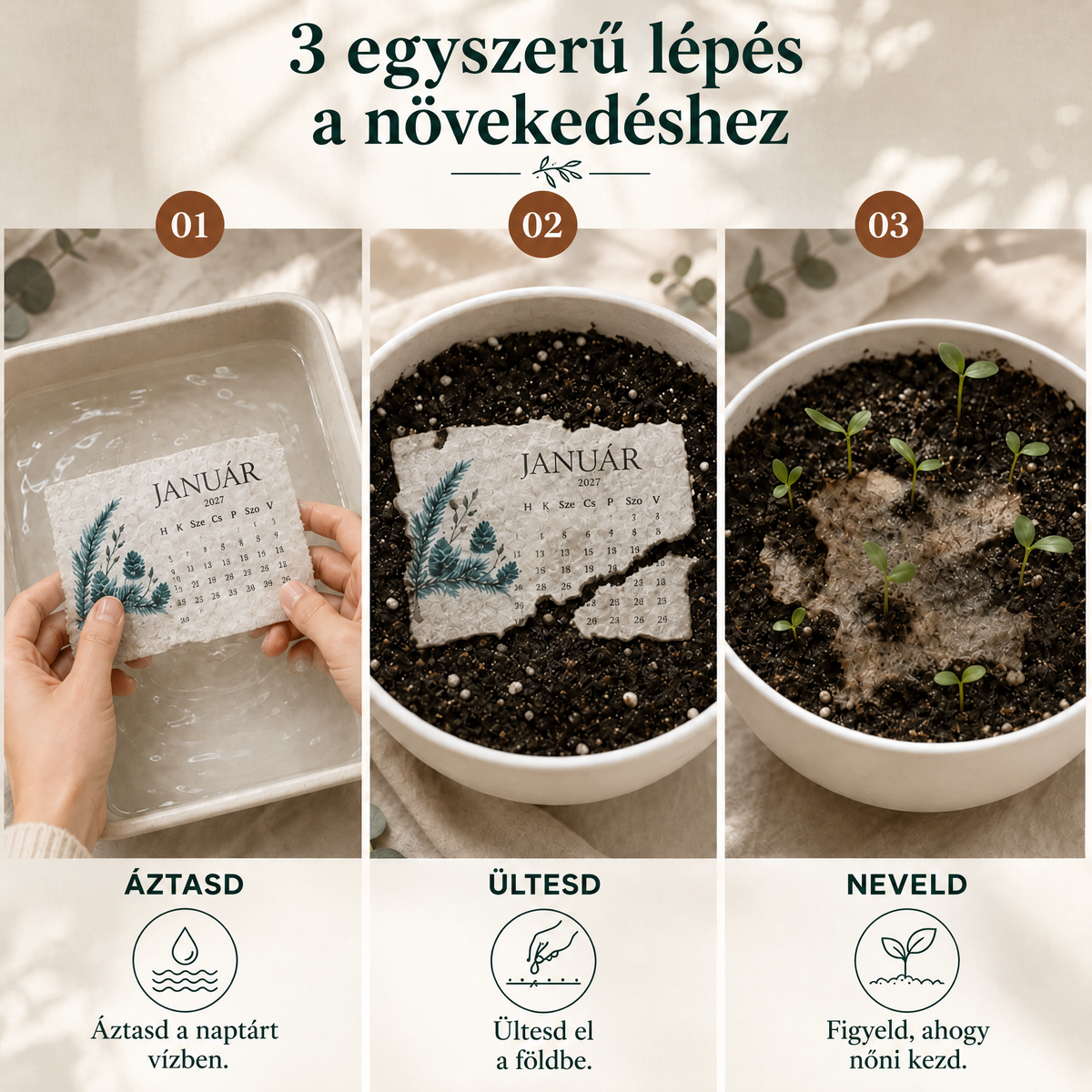 🌱 2027-es ültethető magnaptár🍇 – Egy évnyi szépség, új élet minden lapban! 🌸🎁