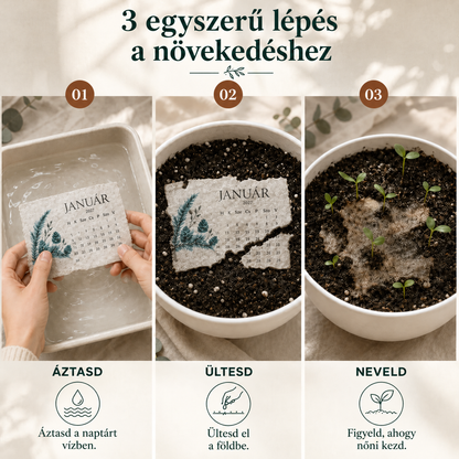 🌱 2027-es ültethető magnaptár🍈 – Egy évnyi szépség, új élet minden lapban! 🌸🎁